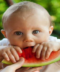 baby eating watermelon